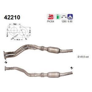 AS 42210 - Catalyseur