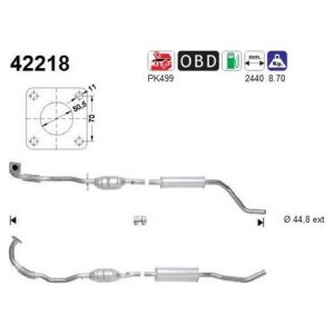 AS 42218 - Catalyseur