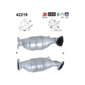 AS 42219 - Catalyseur