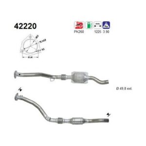 AS 42220 - Catalyseur