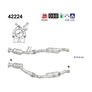 AS 42224 - Catalyseur
