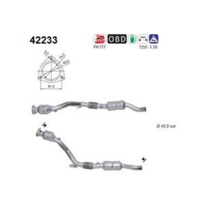 AS 42233 - Catalyseur