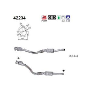 AS 42234 - Catalyseur