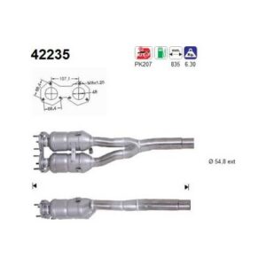 AS 42235 - Catalyseur