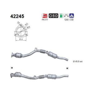 AS 42245 - Catalyseur