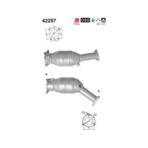 AS 42257 - Catalyseur