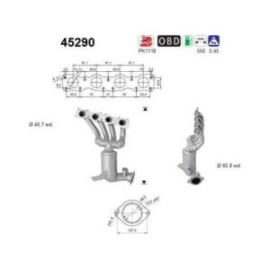 AS 45290 - Catalyseur