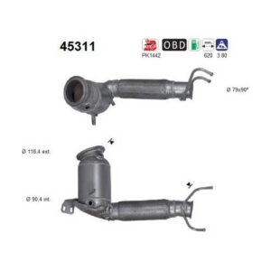 AS 45311 - Catalyseur