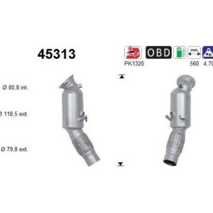 AS 45313 - Catalyseur