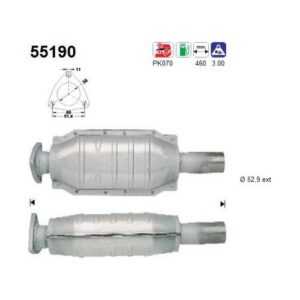 AS 55190 - Catalyseur
