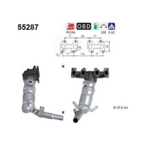 AS 55287 - Catalyseur