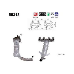 AS 55313 - Catalyseur