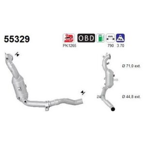AS 55329 - Catalyseur