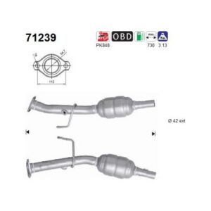 AS 71239 - Catalyseur