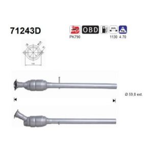AS 71243D - Catalyseur