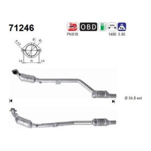 AS 71246 - Catalyseur