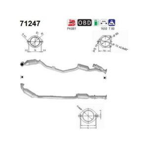AS 71247 - Catalyseur