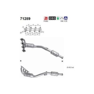AS 71289 - Catalyseur