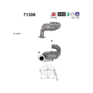 AS 71306 - Catalyseur