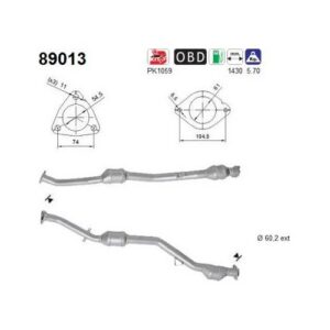 AS 89013 - Catalyseur