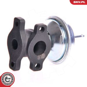 ESEN SKV 14SKV005 Vanne EGR