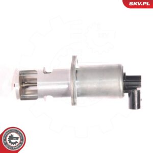 ESEN SKV 14SKV010 Vanne EGR