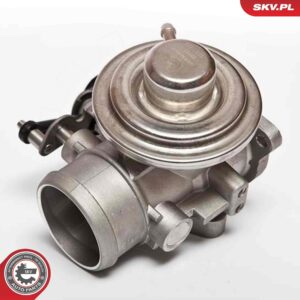 ESEN SKV 14SKV020 Vanne EGR