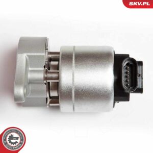 ESEN SKV 14SKV042 Vanne EGR