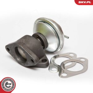 ESEN SKV 14SKV051 Vanne EGR