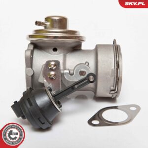 ESEN SKV 14SKV081 Vanne EGR