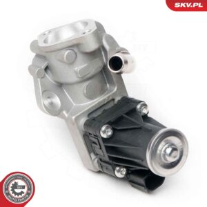 ESEN SKV 14SKV100 Vanne EGR