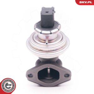 ESEN SKV 14SKV129 Vanne EGR
