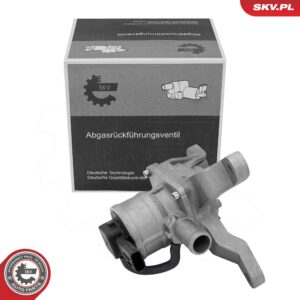 ESEN SKV 14SKV131 Vanne EGR