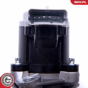 ESEN SKV 14SKV173 Vanne EGR