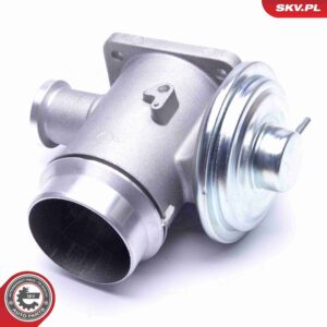 ESEN SKV 14SKV176 Vanne EGR