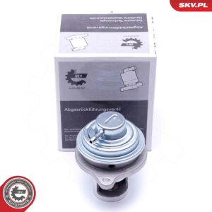 ESEN SKV 14SKV182 Vanne EGR