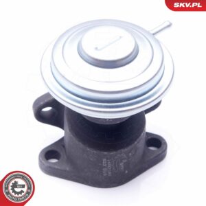 ESEN SKV 14SKV183 Vanne EGR