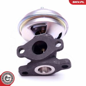 ESEN SKV 14SKV204 Vanne EGR