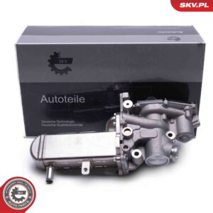 ESEN SKV 14SKV241 Vanne EGR