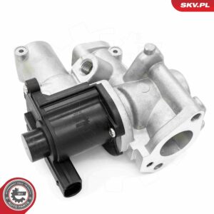 ESEN SKV 14SKV253 Vanne EGR