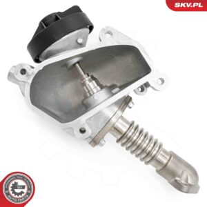 ESEN SKV 14SKV257 Vanne EGR