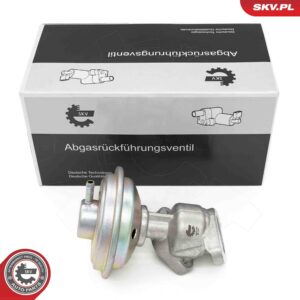 ESEN SKV 14SKV258 Vanne EGR