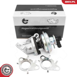 ESEN SKV 14SKV285 Vanne EGR