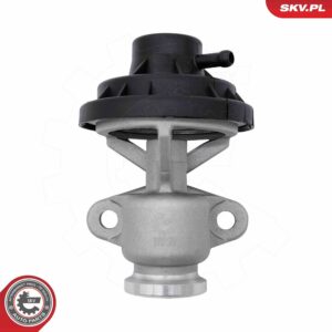 ESEN SKV 14SKV291 Vanne EGR