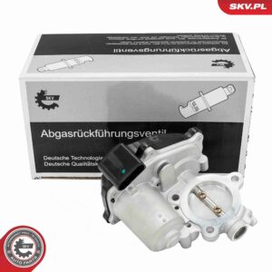 ESEN SKV 14SKV299 Vanne EGR