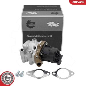 ESEN SKV 14SKV312 Vanne EGR