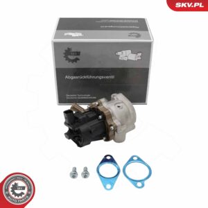 ESEN SKV 14SKV313 Vanne EGR