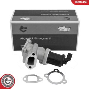 ESEN SKV 14SKV314 Vanne EGR