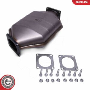 FAP ESEN SKV 62SKV519