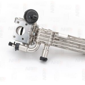 NAP carPARTS CAV10178 Vanne EGR